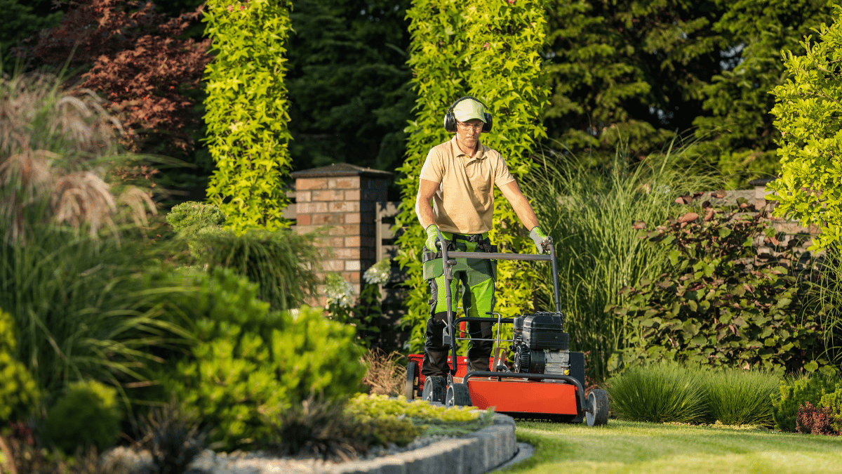 Tools For Lawn Care And Yard Maintenance